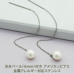 AJsAX fB[X Wp[ 6mm AM[Ή XeX 0.8mm`F[6cm |Xg2cm Si1o Vv T[WJ ×p ^ tH[} i Qϓ 