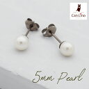 ピアス セカンドピアス 純チタン パール 5mm 片耳 チタンピアス 淡水パール 真珠 フォーマル 上品 参観日 入学式 卒業式 冠婚葬祭 定番 シンプル プレゼント プレゼント