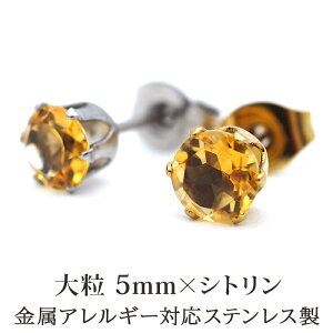 sAX Y Ў VR a Vg 5mm AM[Ή XeX S[h Vo[ Vv  l 30 40 50 ig iۏ؏