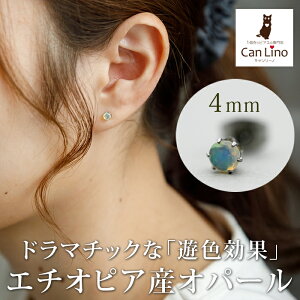 G`IsAY Ip[ ЂƗ sAX ZJhsAX ςȂ 4mm AM[Ή T[WJ XeXyRadiantza VR ×p p[Xg[ q[O i Ў 1