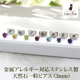 セカンドピアス つけっぱなし 天然石 ピアス 3mm 片耳 軸太 ロングポスト パワーストーン 金属アレルギー サージカル ステンレス 医療用 シンプル 小さい 誕生石 【全品1個ずつバラ売り】 プレゼント