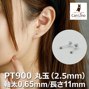 ZJhsAX v`i sAX ςȂ ۋ 2.5mm 0.65 11mm Ў 1  l Vv 킢 ꐶ Y fB[X