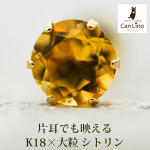 YsAX Ў 18 18K Vg 嗱 5mm Vv ZJhsAX ςȂ j  v[g v[g