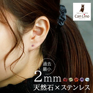 ZJhsAX ςȂ sAX ɏ VR 2mm ꗱ  AM[Ή XeX ×p T[WJ Ў 1