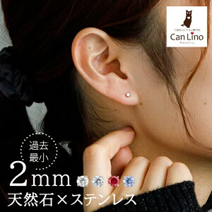 ZJhsAX ςȂ sAX ɏ VR 2mm ꗱ  AM[Ή XeX ×p T[WJ ANA} u[[ ^UiCg sNg} Ў 1