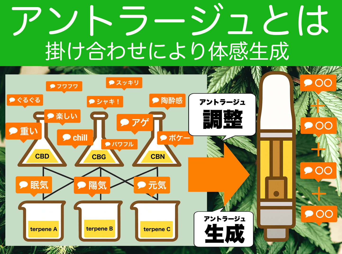 楽天市場 | CBD by cannabirth - テルペン調合のCBDリキッド。合成成分 