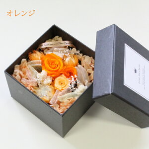 v[gɍœK vU[uht[ {bNX pe[ v[g Mtg jRCo[O} KN [Y AWg sN IW    j a 