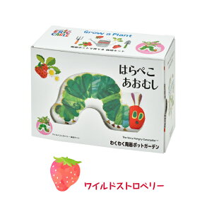 はらぺこあおむし わくわく陶器ポットガーデン 栽培セット 栽培キット 四つ葉のクローバー ワイルドストロベリー 四葉 幸運 育てる 絵本 キャラクター hungry caterpillar 子ども キッズ 食育