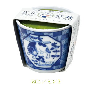 n[u͔|Zbg t BONSAI ~͕ F  al `[t ChXgx[ ~g NTZ} a `I N J^ ɉh ãCeA A Ă 