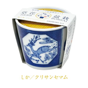 n[u͔|Zbg t BONSAI ~͕ F  al `[t ChXgx[ ~g NTZ} a `I N J^ ɉh ãCeA A Ă 