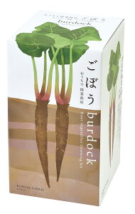 栽培キット おうちで根菜栽培セット 種子栽培セット 大根 人参 ごぼう 根菜 家庭菜園 屋内 栽培 観葉植物 園芸 収穫 自由研究 子供も楽しめる キッチン菜園 キッチンガーデン ガーデニング