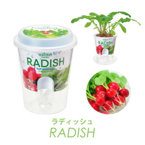 tbVtB[  ͔|Zbg t ~jg}g fBbV zE\E ^X xr[[t VN A ͔| K[fjO Ă y wV[ NI ƒ؉ ͔|