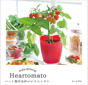トマト ミニトマト ハートマト 栽培セット かわいい トマト 栽培 簡単 野菜 食用 観葉植物インテリア 自由研究 癒し ヒーリング リラックス ガーデニング 観賞 お手軽 自然 趣味 GD546 991594