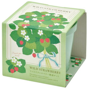 TNXK[f ͔|Zbg Iׂ ~jo ChXgx[ pXe |bgt KN [Y ͔|  CeA  O[ Mtgɂ