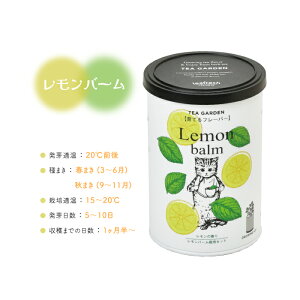 n[u ͔|Lbg Grow Flavor Ăt[o[ ͔| Zbg  킢 v[g Mtg 蕨 a ϗtA S herb  q y  Lb` ~g n[ueB[  K