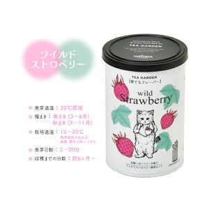 n[u ͔|Lbg Grow Flavor Ăt[o[ ͔| Zbg  킢 v[g Mtg 蕨 a ϗtA S herb  q y  Lb` ~g n[ueB[  K