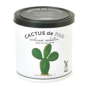 T{e ͔|Lbg CACTUS de CACTUS ͔| Lbg T{e  v[g   E` ~ ͔| ϗtA ӏܗpA ȒP ͔| R CeA  q[O K[fjO 