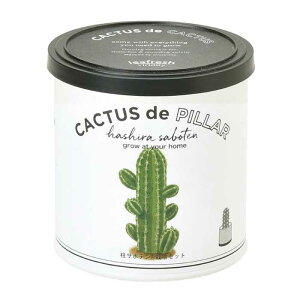 T{e ͔|Lbg CACTUS de CACTUS ͔| Lbg T{e  v[g   E` ~ ͔| ϗtA ӏܗpA ȒP ͔| R CeA  q[O K[fjO 