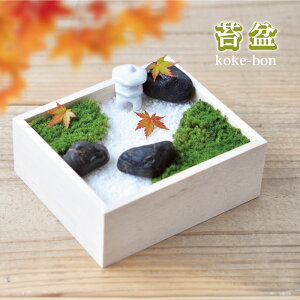 ۖ~  eE Lbg ے뉀 XiSP A Ă K[fjO ȒP bNX {뉀 WI} 񂽂 J^ R CeA v[g  q[O y  뉀