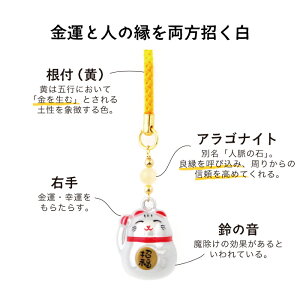 ˂՗ L ܂˂˂ S[h  ՗ J^՗ ~[WbN{[  ꂢȉF   Xgbv zt t X}zXgbv ʈS 