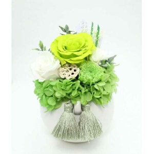 A vU[uht[ AWg Eh^ MTCY    o  ͂ @ ԑ @ؑ @  ފ ~   ̐l ̉ 993362