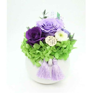 A vU[uht[ AWg Eh^ MTCY    o  ͂ @ ԑ @ؑ @  ފ ~   ̐l ̉ 993362