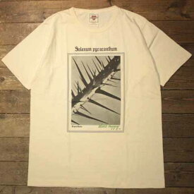 DRESS HIPPY“DH-FLOWER S/S TEE” Series“SOLANUM PYRACANTHUM S/S TEE”【DRESS HIPPY】(ドレスヒッピー)正規取扱店(Official Dealer)Cannon Ball(キャノンボール)【あす楽対応/半袖Tシャツ/プリントTシャツ】