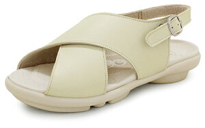 2ball cH T_ fB[X TB203 obNxg tbg [q[ | d i[XT_ ItBX d ؂ ₷ RtH[g  ubN zCg { Qb