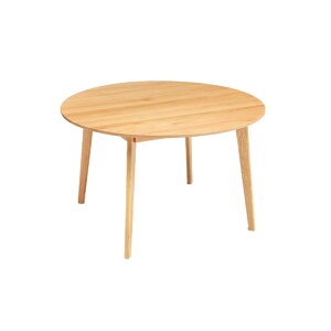 yP5{3023:59܂Łz_CjOe[u IyDX  ۃe[u 120 ؐ e[u rOe[u ~` VR I[N C 2`4l| E^dグ ϐ rO _C