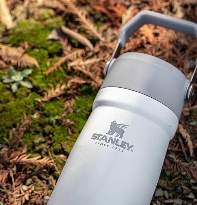 1270円 2021超人気 スタンレー アイスフローフリップストロー真空ウォーターボトル 0.65L 1270円 2021超人気 スタンレー アイスフローフリップストロー真空ウォーターボトル 0.65L
