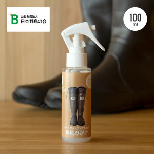 o[hEHb`OCp C݂ {쒹̉ 441435 Xv[   Lv AEghA