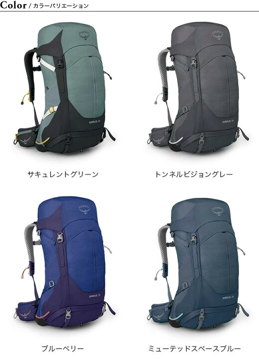 楽天市場】【ラスト1点】オスプレー シラス 36 OSPREY SIRRUS 36 