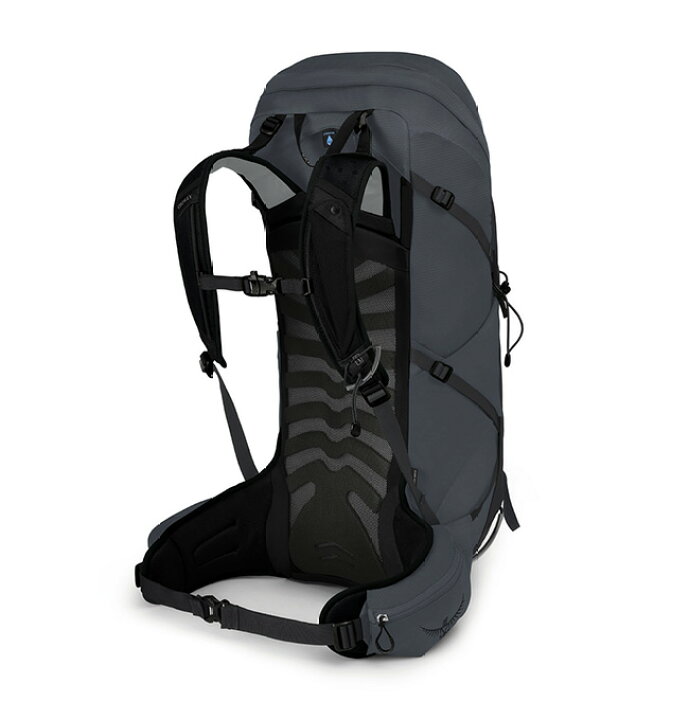 楽天市場】オスプレー タロン 36 OSPREY TALON 36 OS50235 バック 