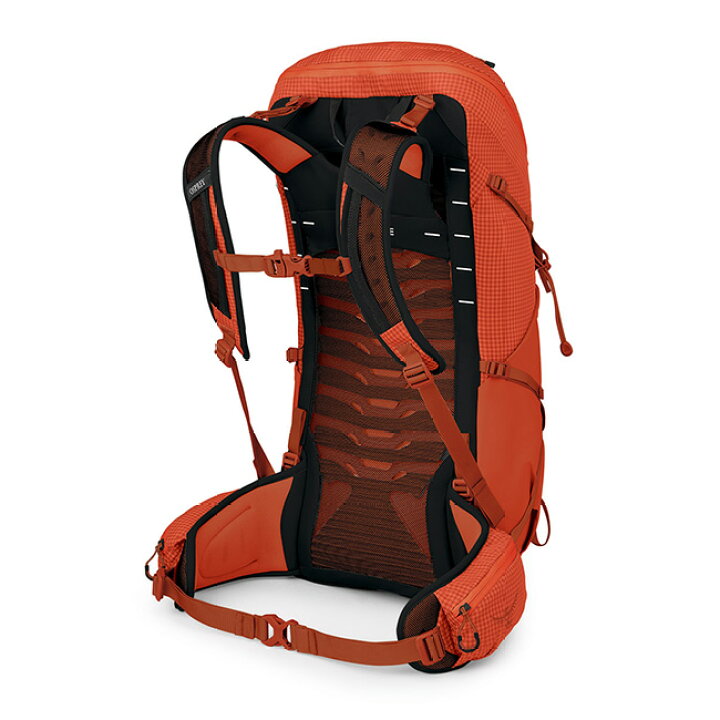 楽天市場】オスプレー タロンプロ30 OSPREY メンズ OS50272 バック 