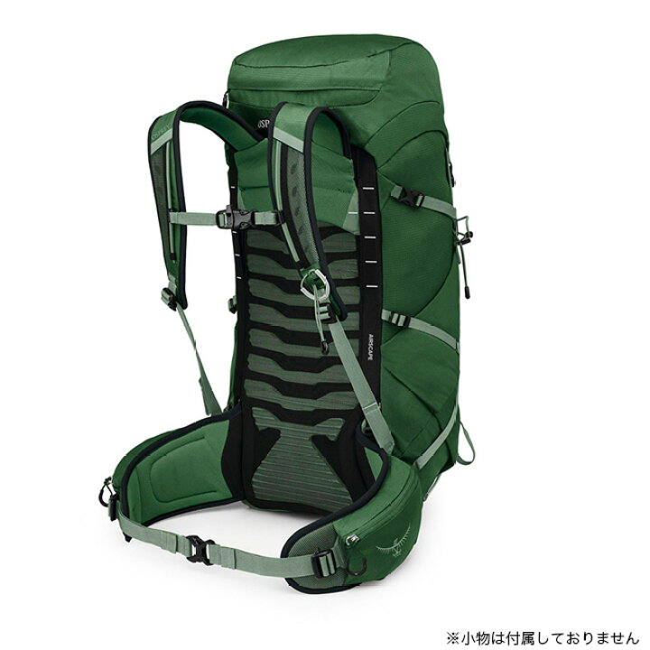 楽天市場】オスプレー タロン 33 OSPREY TALON 33 メンズ OS52464 