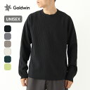 ゴールドウィン ワッフルライトL/S Tシャツ ユニセックス GOLDWIN WF Light L/S T-shirt メンズ レディース GL45142 トップス ロンT 長袖 無地 吸汗速乾 UVカット UPF50＋ ポリエステル100 ソロテックス おしゃれ キャンプ アウトドア