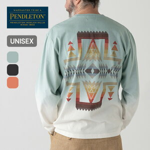 �y���h���g�� �O���f�[�V�����_�C�o�b�N�v�����gL/S Tee PENDLETON GRADATION DYE BACK PRINT L/S TEE 6175-3010 ���j�Z�b�N�X �����Y ���f�B�[�X ����T ���� T�V���c �J�b�g�\�[ ������� ������� �L�����v 