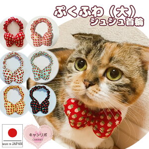  L ցyՂӂVV()ȃ|bv䕁z Lp Lp L  { ˂  S 킢  qL L nQȂ nQɂ ی y _炩 y