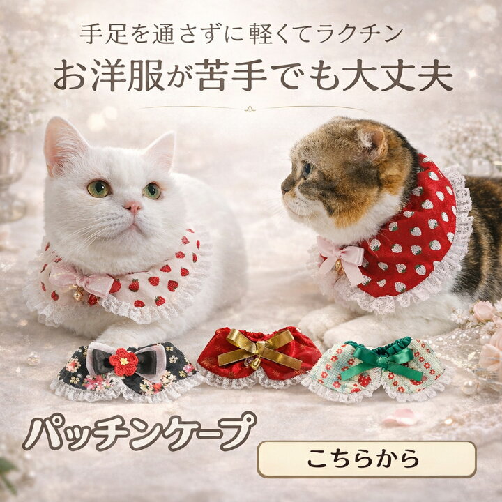楽天市場】手編み 猫 首輪【つけ襟 クリスマス カラー】猫用 猫用首輪  