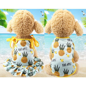 y AEgbg ECOAizL  Lp Lp L֌ L  ypCibv TVc m zybgRXv  JCC  썑 