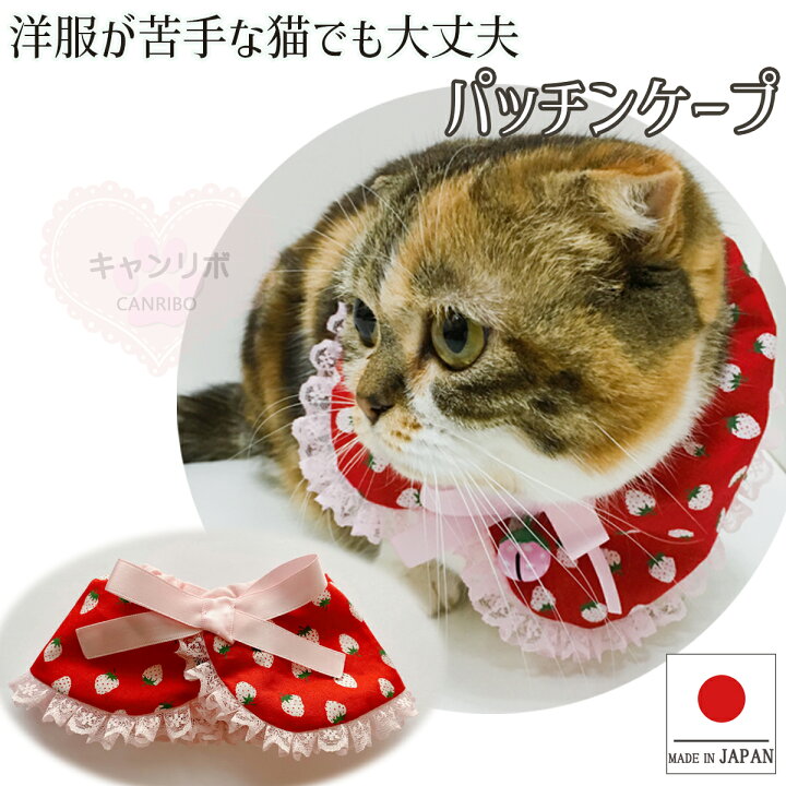 楽天市場】【送料無料】手作り 猫用ケープ 猫 首輪【パッチンケープ  
