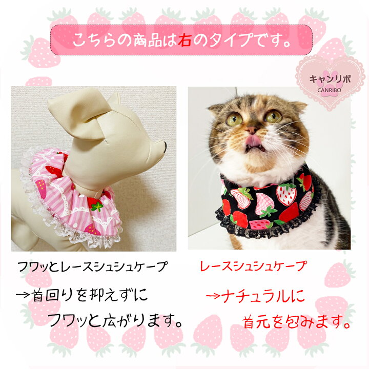 楽天市場】【送料無料】手作り 猫用ケープ 猫 首輪【シュシュ ケープ  