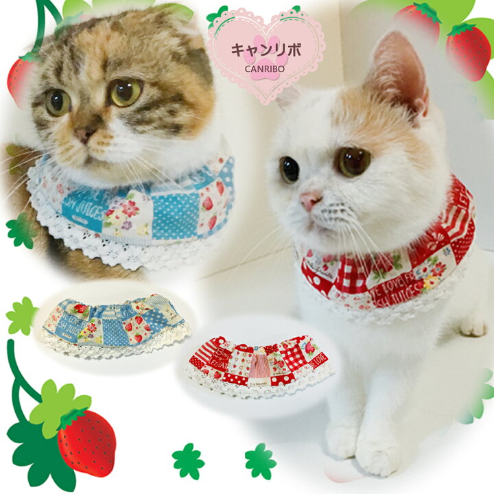 楽天市場】【送料無料】手作り 猫用ケープ 猫 首輪 【シュシュ ケープ 