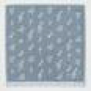 �E�H�b�V���^�I�� Silver Notes