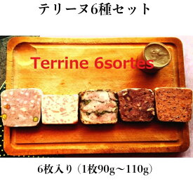 【テリーヌ6種セット 6枚入り 】 パテメゾン 鶏肉のプレッセ サーモンテリーヌ 仔羊のテリーヌ 鴨肉のテリーヌ 白レバーのパテ　〈お取り寄せ グルメ 贈答用 プレゼント ワインのおつまみ フランス料理〉