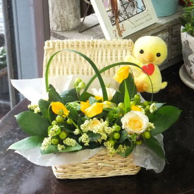 楽天市場 バラ メーカーグリーンフィールド 花 観葉植物 花 ガーデン Diy の通販
