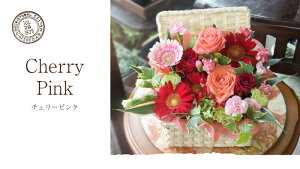 yŒZ 14܂Łz  v[g a oXPbg LTCY t[AWg t[Mtg  j LO tw JXj j