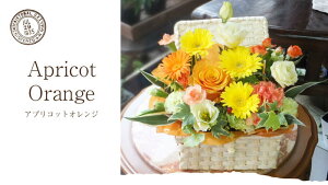 yŒZ 14܂Łz  v[g a oXPbg LTCY t[AWg t[Mtg  j LO tw JXj j