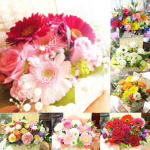 yŒZ 14܂Łz  v[g a oXPbg LTCY t[AWg t[Mtg  j LO tw JXj j