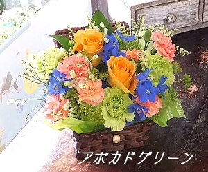 yŒZ 14܂Łz  v[g a oXPbg LTCY t[AWg t[Mtg  j LO tw JXj j